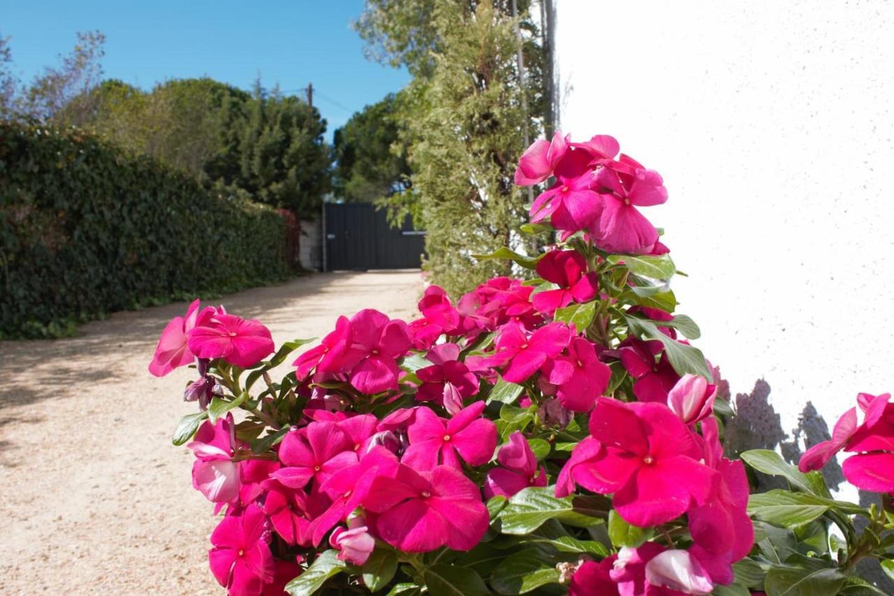Finca Paredes Valdetorres de Jarama Exteriör bild