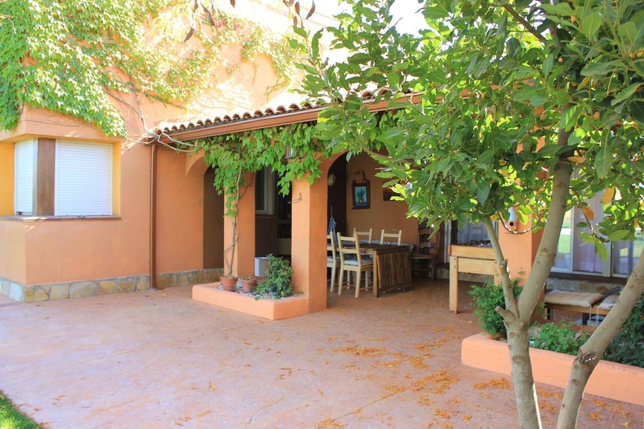 Finca Paredes Valdetorres de Jarama Exteriör bild
