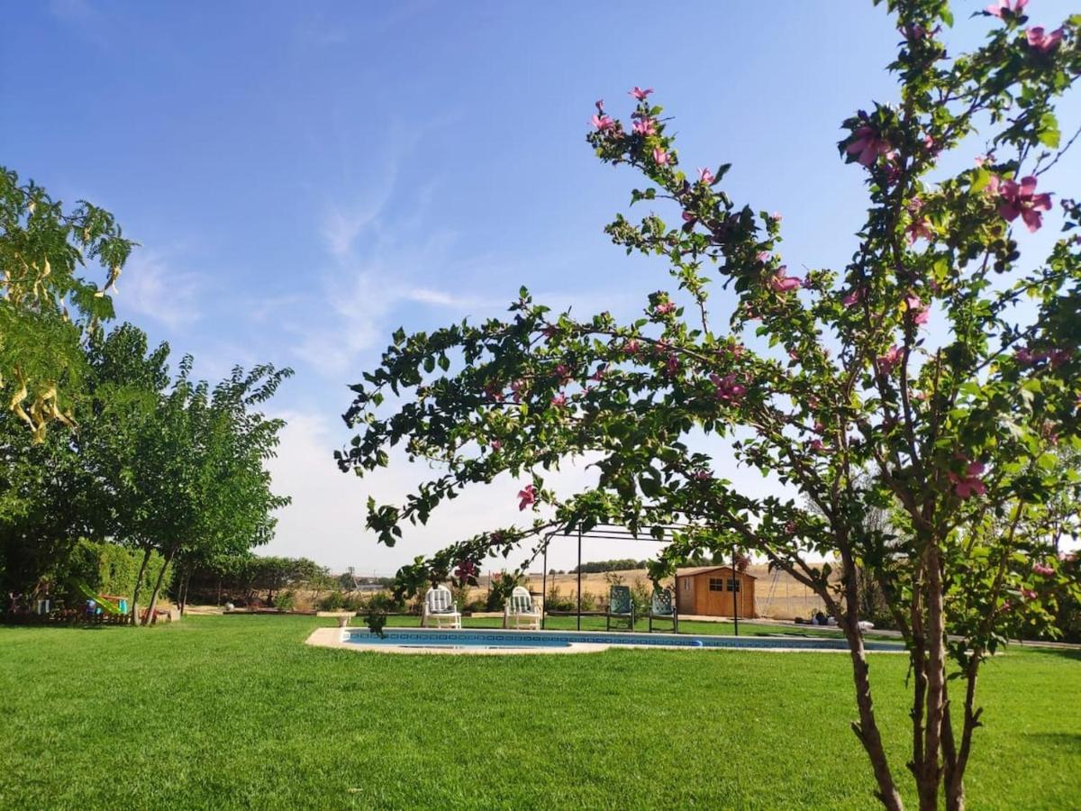 Finca Paredes Valdetorres de Jarama Exteriör bild